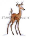 H-233 Deer